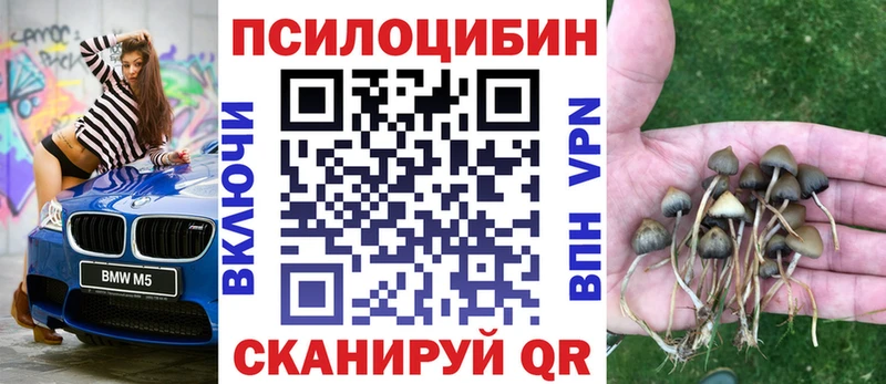 Галлюциногенные грибы MAGIC MUSHROOMS Лиски